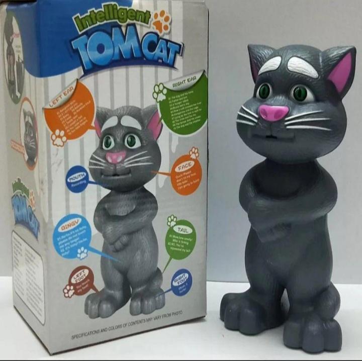 Plastic Talking Tom Toy