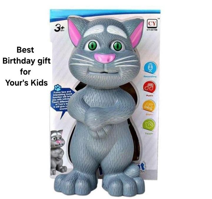 Plastic Talking Tom Toy